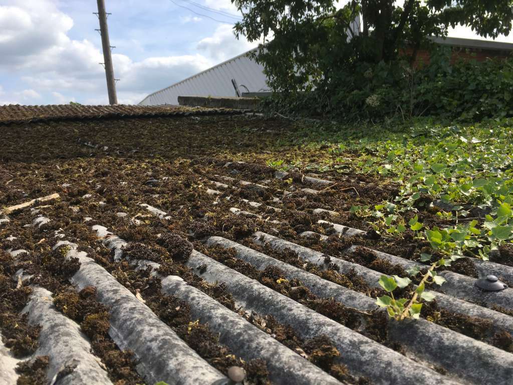 Asbestos garage roof with lichen growth | Danmarque Garages