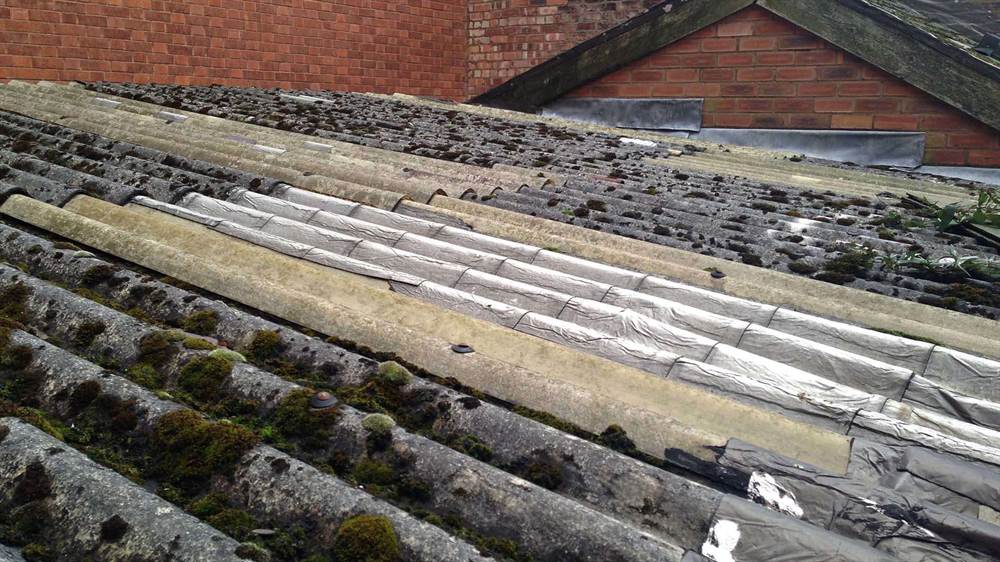 Asbestos Garage Roof with Moss Moss and Algae on Garage Roof